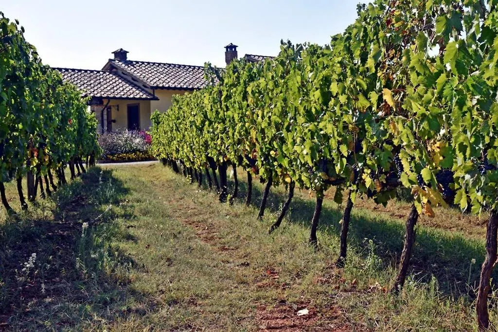 Wine Apartment Le Sedici Massa Marittima