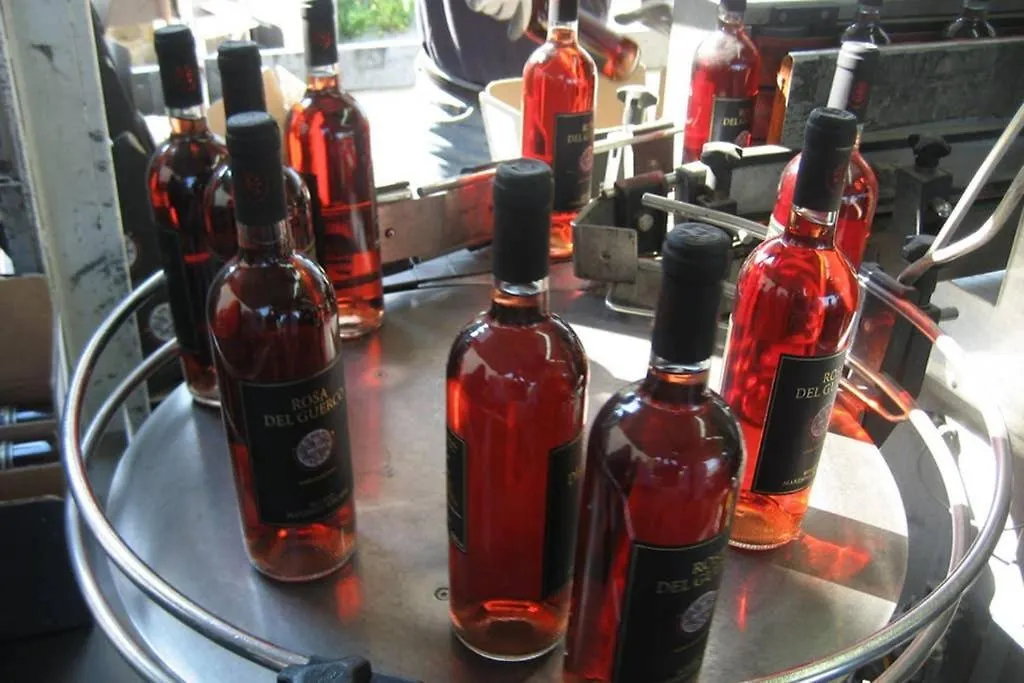 Wine Apartment Le Sedici Massa Marittima Italien