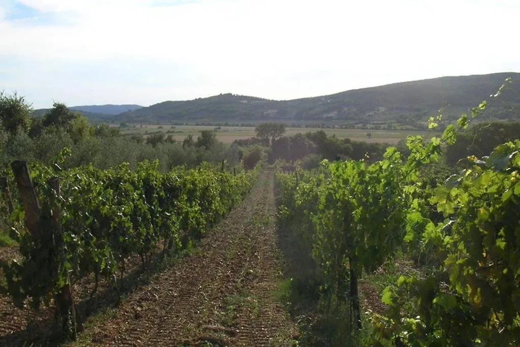 Wine Apartment Le Sedici Massa Marittima Italien