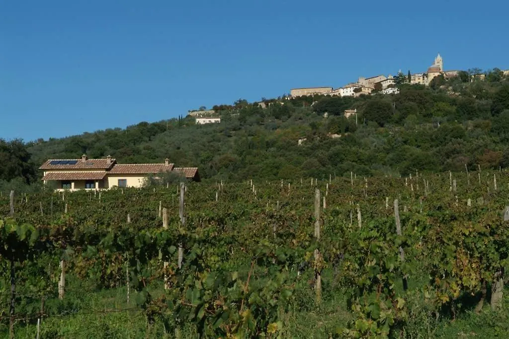 Wine Apartment Le Sedici Massa Marittima